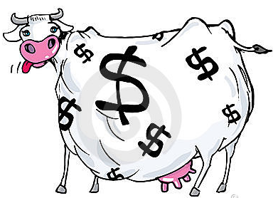 cash cow.png